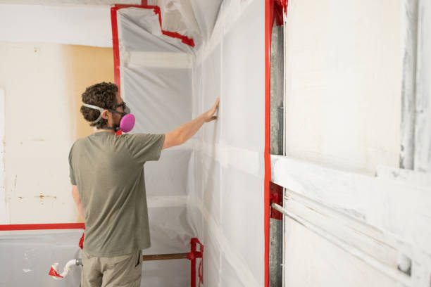 Best Real Estate Mold Inspection  in Weatherford, TX