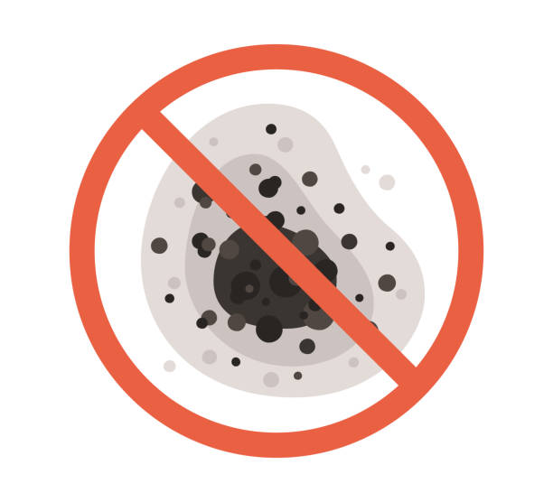 Best Mold Removal for HVAC Installations  in Weatherford, TX